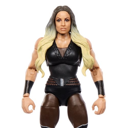 WWE Elite Collection Series 111 Action Figure - Select Figure(s)