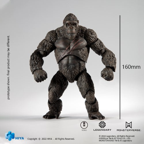 Godzilla vs Kong (Exquisite Basic) Kong PX PVC Figure